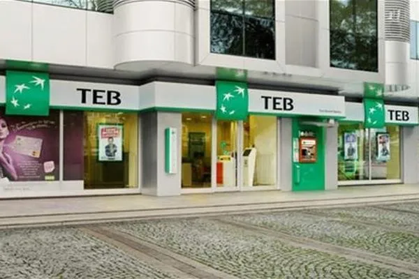 TEB - Photo 2