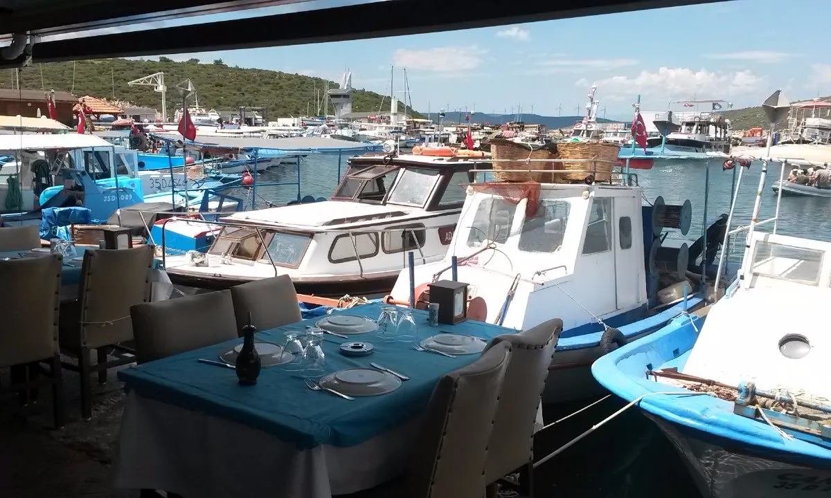 RİPARO - Photo 1