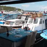 RİPARO