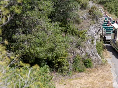 Le petit train - Photo 5