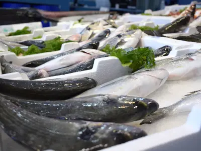 Peškarija - Fish Market - Photo 1
