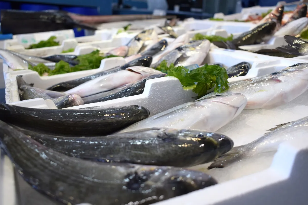 Peškarija - Fish Market - Photo 1
