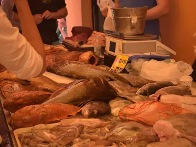 Peškarija - Fish Market - Photo 2