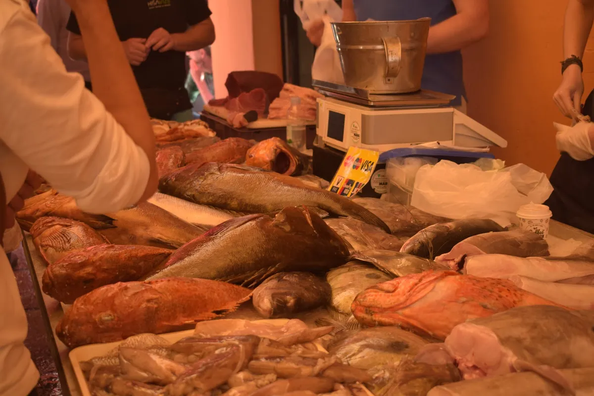Peškarija - Fish Market - Photo 2
