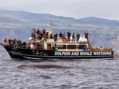 MobyDick Tours - Photo 1
