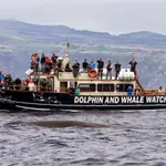 MobyDick Tours