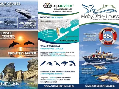MobyDick Tours - Photo 2