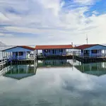 Mesolonghi Fish Market