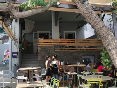 kokka - Photo 1