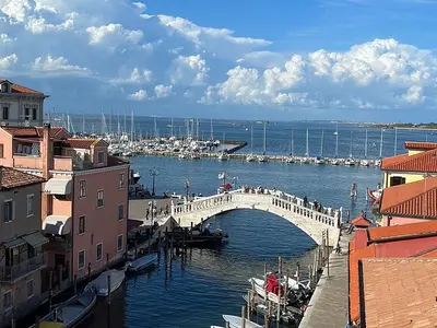 Museo di zoologia marina "Giuseppe Olivi" - Photo 3