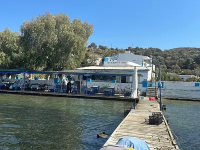 O Sotos Ouzeri - Photo 2