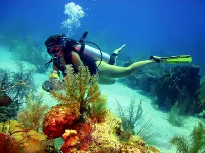 Caribe colombiano diving - Photo 5