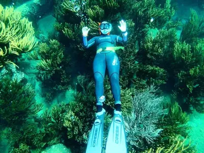 Caribe colombiano diving - Photo 4