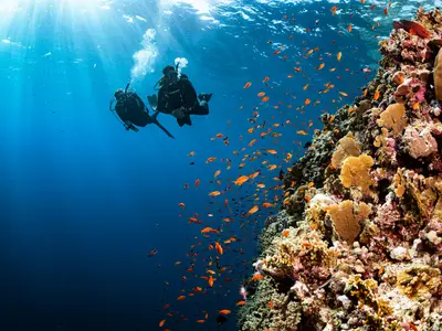 Caribe colombiano diving - Photo 3
