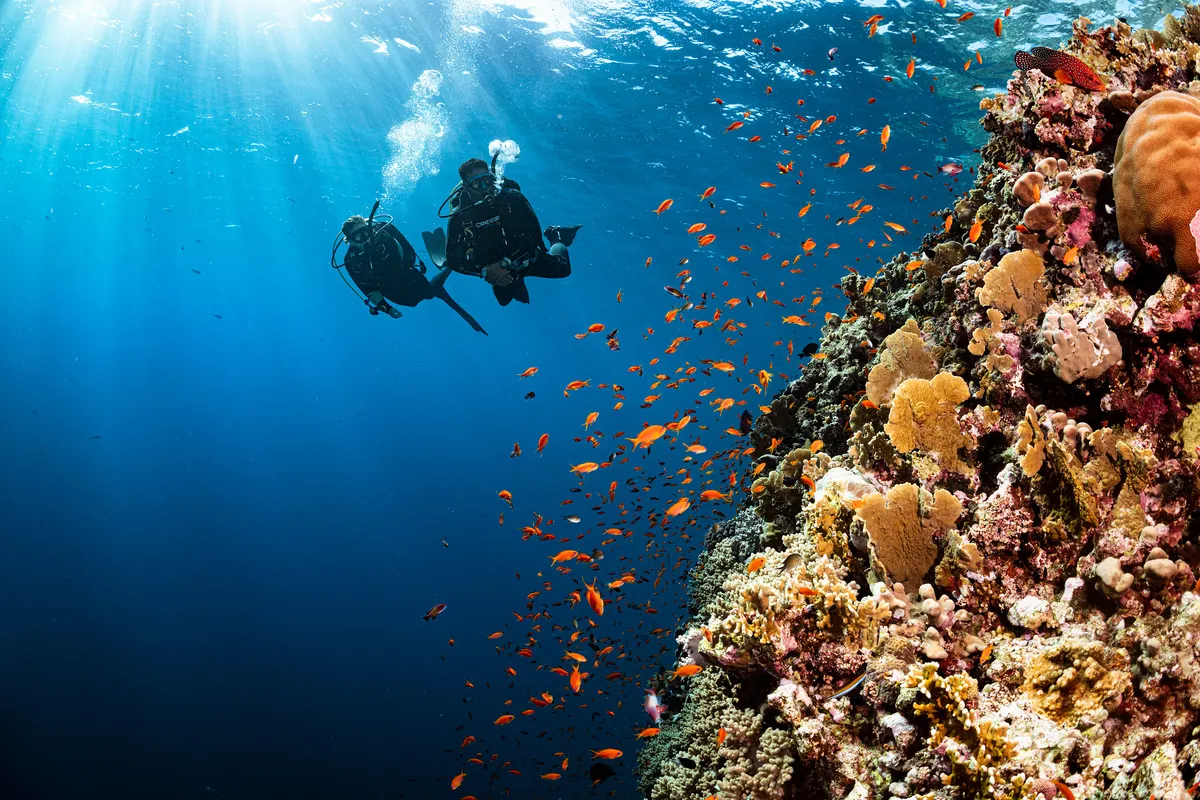 Caribe colombiano diving - Photo 3