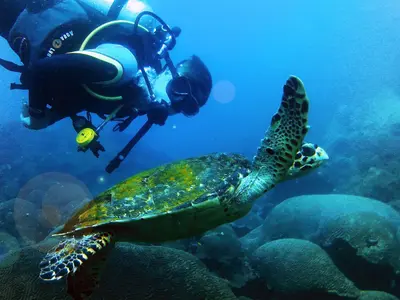 Caribe colombiano diving - Photo 2