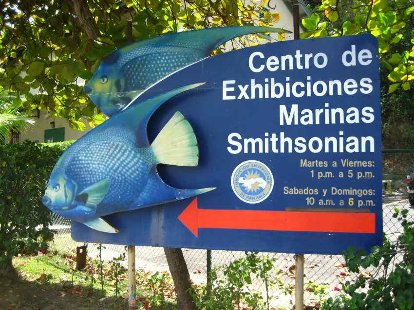 Centro de Exhibiciones Marinas - Main photo