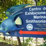 Centro de Exhibiciones Marinas
