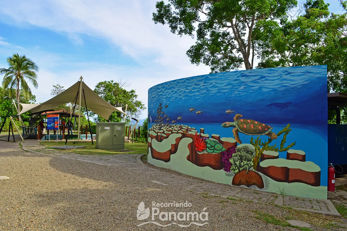 Centro de Exhibiciones Marinas - Photo 4