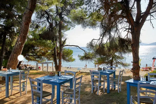 Nest Fish Restaurant - Photo 3