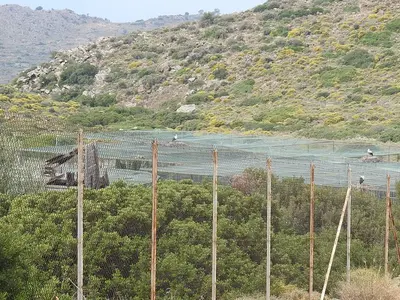 Hellenic Wildlife Care Center - Photo 3