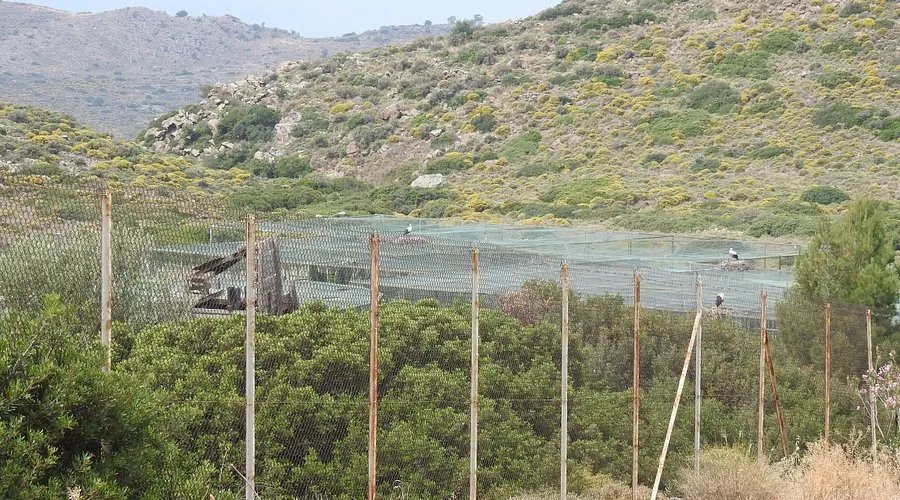 Hellenic Wildlife Care Center - Photo 3