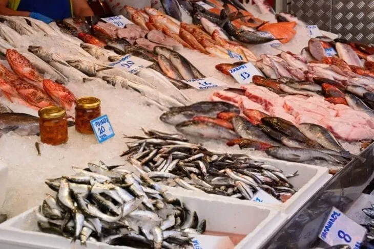 Fish