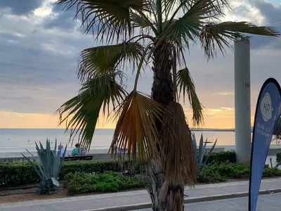 Beach Club h2o - Photo 5