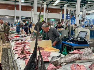Mercado do Livramento - Photo 3