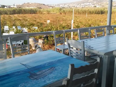Mykonos Vioma - Photo 4