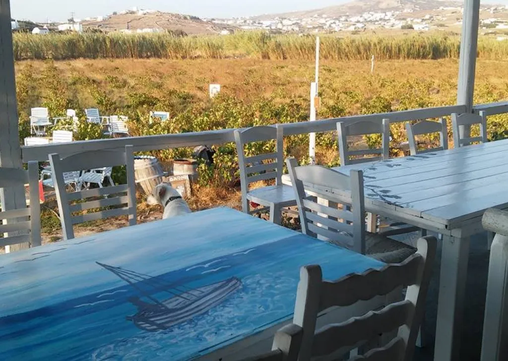 Mykonos Vioma - Photo 4