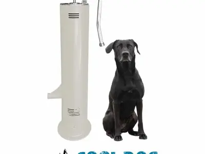 dog fountain - Photo 2