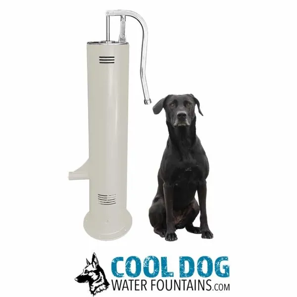dog fountain - Photo 2