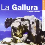 Fasolino
