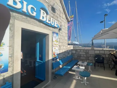 Big Blue - Photo 2