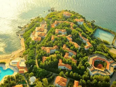 TEOS - Photo 2