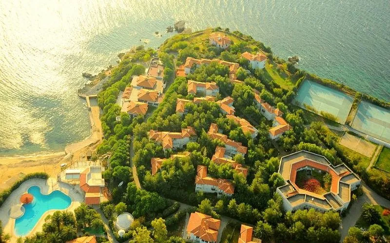 TEOS - Photo 2