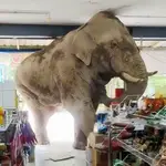 Super Market "ΓΙΑΝΝΗΣ"