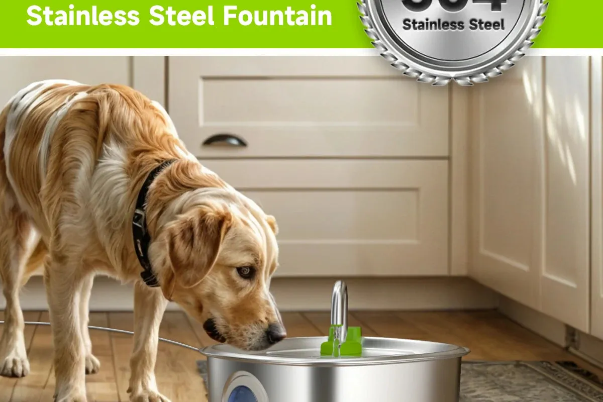 dog fountain - Photo 3