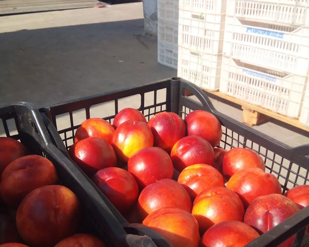 Greek Market - Photo 5