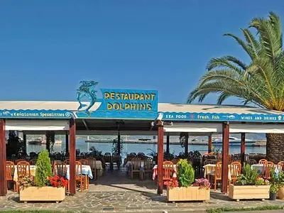 The Dolphins - Photo 2