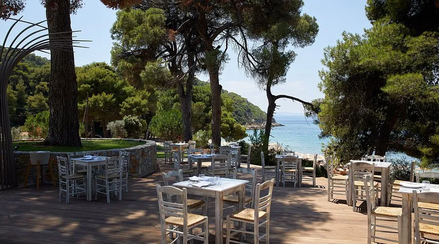 Nest Fish Restaurant - Main photo