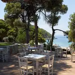 Nest Fish Restaurant