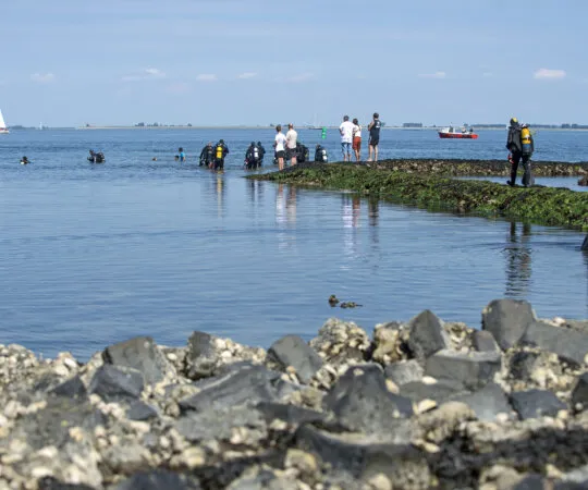 Rondvaarten Oosterschelde - Photo 2