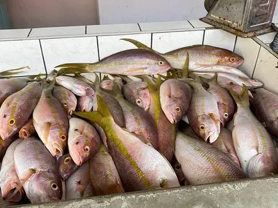 Island Seafood Supermarket - Photo 2