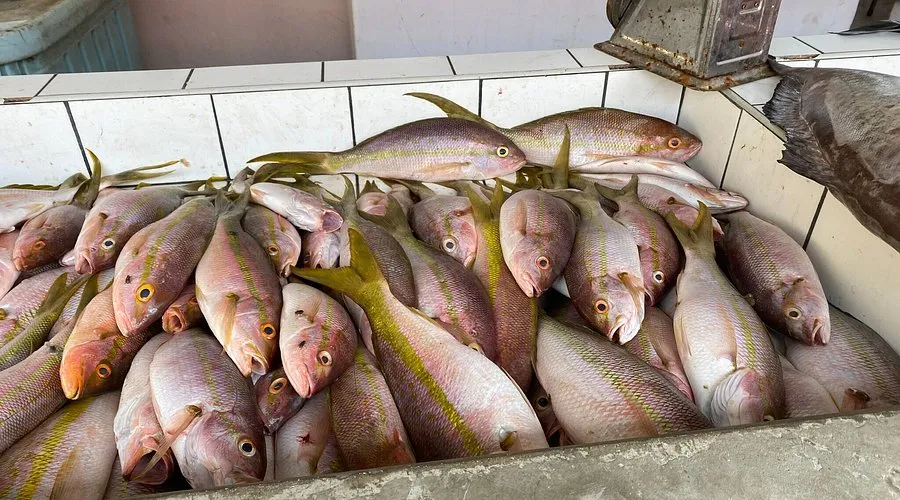 Island Seafood Supermarket - Photo 2
