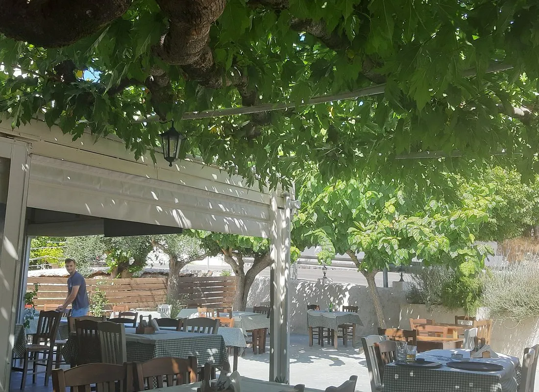 Roots - Photo 4