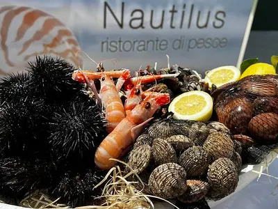 Nautilus Beach - Photo 2