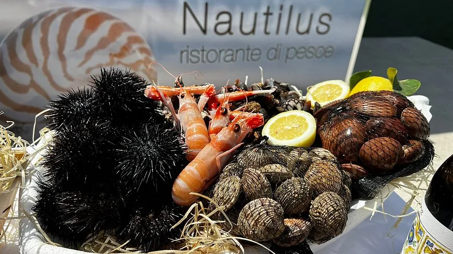 Nautilus Beach - Photo 2