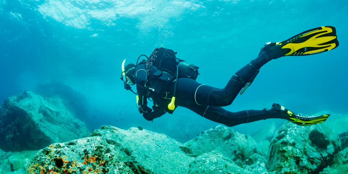 Buceo La Herradura - Photo 1